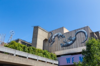 Roa - Londres - Queen Elizabeth Hall - Juillet 2013