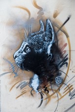 C215 - Vitry - Rue Antoine Marie Colin - Octobre 2013