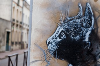 C215 - Vitry - Rue Antoine Marie Colin - Octobre 2013