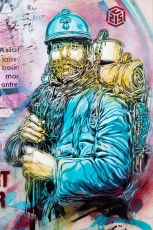 C215 - Vitry - Rue Clément Perrot - Novembre 2013