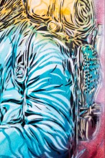 C215 - Vitry - Rue Clément Perrot - Novembre 2013