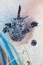 C215 - Vitry - Rue Clément Perrot - Decembre 2013