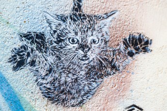 C215 - Vitry - Rue Clément Perrot - Decembre 2013