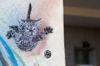 C215 - Vitry - Rue Clément Perrot - Decembre 2013