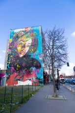 C215 - Vitry - Boulevard de Stalingrad - Mars 2014