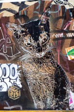 C215 - Londres - Shoreditch - Bethnal Green Road - Mars 2014