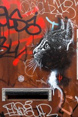 C215 - Londres - Shoreditch - Redchurch Street - Mars 2014