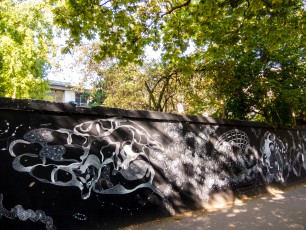 Philippe Baudelocque - Boulevard Raspail 14è - Octobre 2014