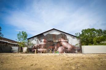 Borondo - In Situ Art Festival - Aubervilliers - Mai 2014