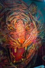 C215 - Bibo - Hollywood Street - Hong Kong