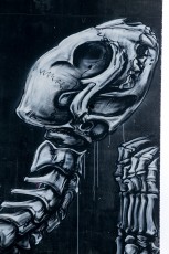 Roa - Rue Marguerite Duras 13è - Juin 2016