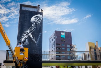 Roa - Work in progress - Rue Marguerite Duras 13è - Juin 2016