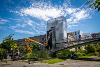 Roa - Work in progress - Rue Marguerite Duras 13è - Juin 2016