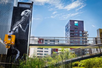 Roa - Work in progress - Rue Marguerite Duras 13è - Juin 2016