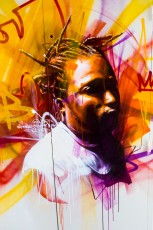 "Street art is not a crime"... Létage de Dan23 - Hôtel Ibis Bercy 12è - Novembre 2016