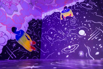 Kid Kréol & Boogie "Wall drawings - Icônes urbaines" exposition au musée d'Art Contemporain de Lyon du 30 septembre 2016 au 15 janvier 2017