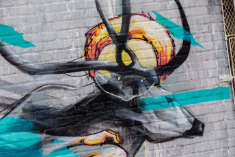 Li Hill & Kaff-eine - Bushwick - Brooklyn - New York - Avril 2017
