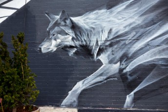 Li Hill - Bushwick - Brooklyn - New York - Avril 2017