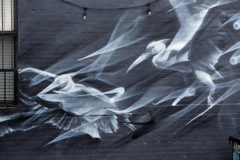 Li Hill - Bushwick - Brooklyn - New York - Avril 2017