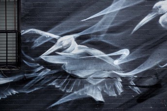 Li Hill - Bushwick - Brooklyn - New York - Avril 2017