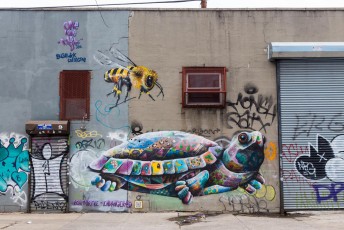 Masaï - Bushwick - Brooklyn - New York - Avril 2017