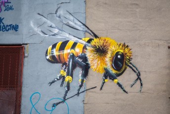 Masaï - Bushwick - Brooklyn - New York - Avril 2017