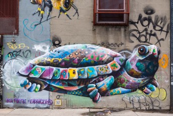 Masaï - Bushwick - Brooklyn - New York - Avril 2017