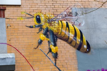 Masaï - Bushwick - Brooklyn - New York - Avril 2017