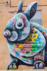 Masaï - Bushwick - Brooklyn - New York - Avril 2017