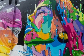 Dasic Fernandez - Bushwick - Brooklyn - New York - Avril 2017