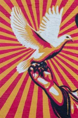 Shepard Fairey - Rise Above - 1st Avenue / 11th street - Manhattan - New York - Avril 2017