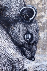 Roa - The Crystal Ship - Hofstraat - Ostende