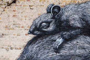 Roa - The Crystal Ship - Hofstraat - Ostende