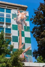 Harry James - Les Grands Voisins pour 14arts - Avenue Denfert-Rochereau 14è - Juin 2017