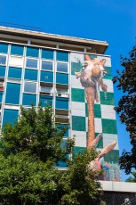 Harry James - Les Grands Voisins pour 14arts - Avenue Denfert-Rochereau 14è - Juin 2017