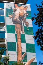 Harry James - Les Grands Voisins pour 14arts - Avenue Denfert-Rochereau 14è - Juin 2017