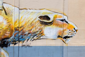 Harry James - Rue Raymond Losserand 14è - Juillet 2017