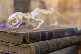 "Beautiful Decay" exposition de Eric Lacan à la galerie Openspace du 9 septembre au 7 octobre 2017