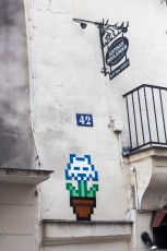 PA-1299 - Spaceflower - Quartier de la Monnaie 06è /// 30 pts