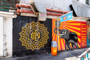 Shepard Fairey - Protect - Ki Ling Lane - Hong Kong - Mars 2018