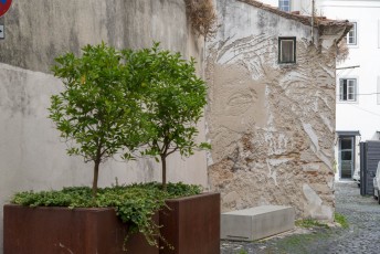 Vhils - Travessa das Merceeiras - Alfama - Lisbonne