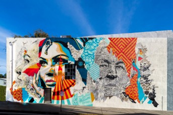 Shepard Fairey & Vhils - Effie street / Fountain Avenue - Hollywood / Los Feliz District - Los Angeles