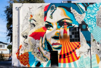 Shepard Fairey & Vhils - Effie street / Fountain Avenue - Hollywood / Los Feliz District - Los Angeles