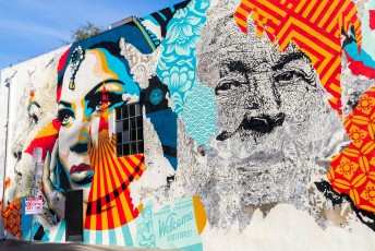 Shepard Fairey & Vhils - Effie street / Fountain Avenue - Hollywood / Los Feliz District - Los Angeles