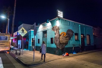 Alexis Diaz - Abbot Kinney Boulevard / Cadiz court - Venice Beach - Los Angeles