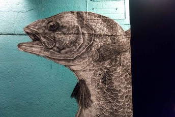 Alexis Diaz - Abbot Kinney Boulevard / Cadiz court - Venice Beach - Los Angeles