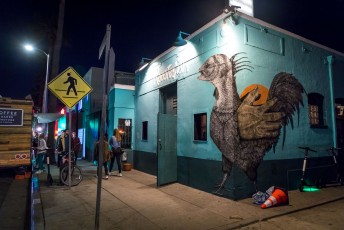 Alexis Diaz - Abbot Kinney Boulevard / Cadiz court - Venice Beach - Los Angeles