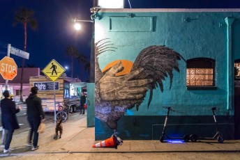 Alexis Diaz - Abbot Kinney Boulevard / Cadiz court - Venice Beach - Los Angeles