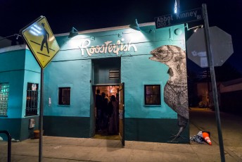 Alexis Diaz - Abbot Kinney Boulevard / Cadiz court - Venice Beach - Los Angeles