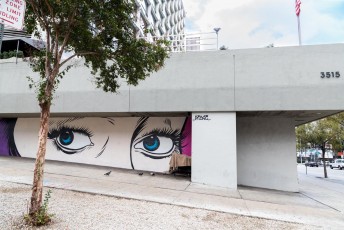 D*Face - South Ardmore Avenue / Wilshire Boulevard - Downtown - Los Angeles